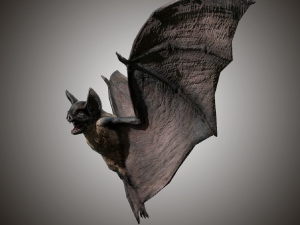 vampire dark bat Modello 3D