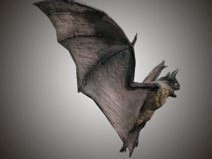 vampire dark bat Modello 3D