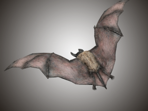 vampire dark bat Modello 3D