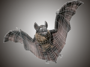 vampire dark bat Modello 3D