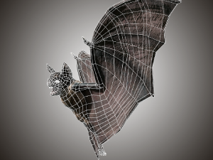 vampire dark bat Modello 3D