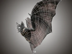 vampire dark bat 3D Model