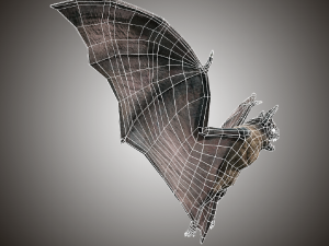 vampire dark bat Modello 3D