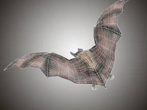 vampire dark bat 3D Model