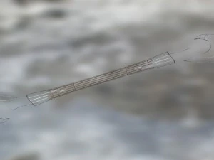 &eacute;p&eacute;e 2 lames Modèle 3D