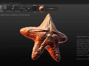 estrela do mar Modelo de Impressão 3D