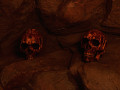 Human Skulls 3D Models