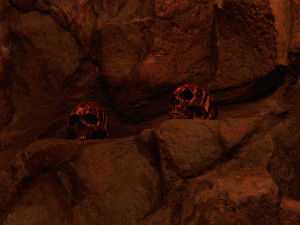 Human Skulls 3Dモデル