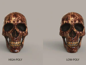 Cr&aacute;neos humanos Modelo 3D