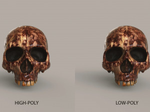 Human Skulls 3Dモデル