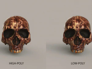 Cr&aacute;neos humanos Modelo 3D