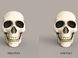 Human Skulls 3Dモデル