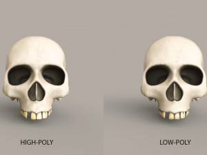 Human Skulls 3Dモデル