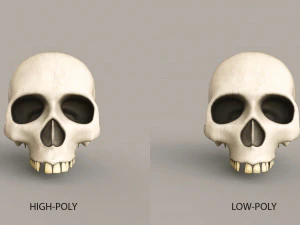 Cr&aacute;neos humanos Modelo 3D