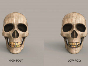 Human Skulls 3Dモデル