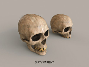 Human Skulls 3Dモデル