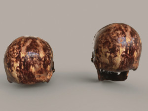 Human Skulls 3Dモデル