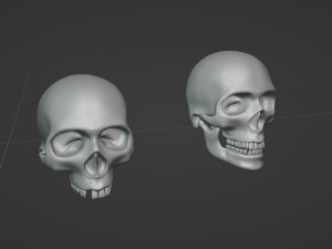 Human Skulls 3Dモデル