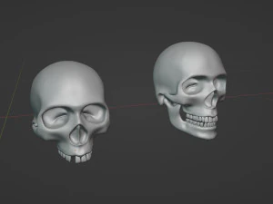 Cr&aacute;neos humanos Modelo 3D