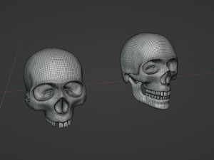 Human Skulls 3Dモデル