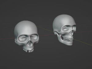 Human Skulls 3Dモデル