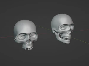 Cr&aacute;neos humanos Modelo 3D