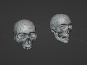 Human Skulls 3Dモデル