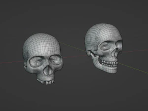 Cr&aacute;neos humanos Modelo 3D