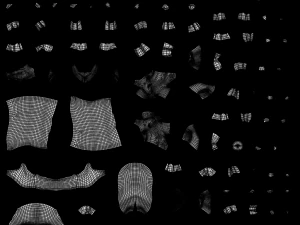 Cr&aacute;neos humanos Modelo 3D