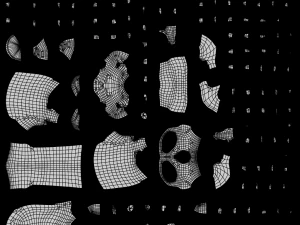 Cr&aacute;neos humanos Modelo 3D