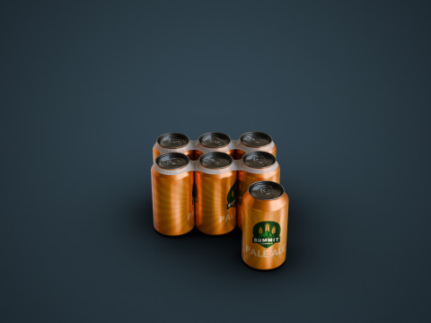 Cooler and Beers 3D Model
