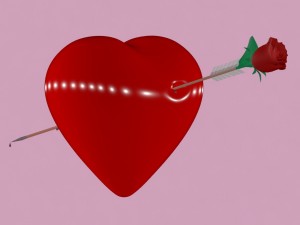 heart 3D 모델