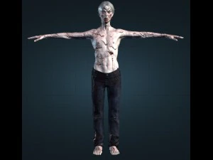 5 zombies rigged and animated 3D Model