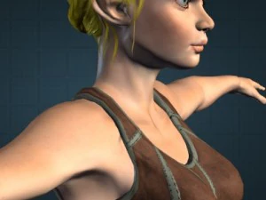 2 elf rigged and animated 3D Model