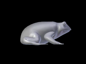 toad 3D Model