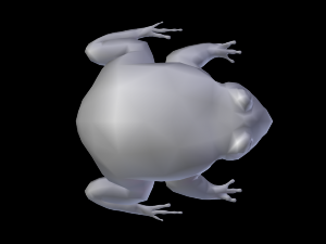 toad Modèle 3D