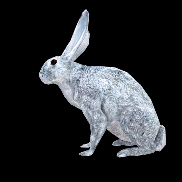 rabbit 3D Model .c4d .max .obj .3ds .fbx .stl .blend 