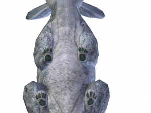 rabbit 3D Model