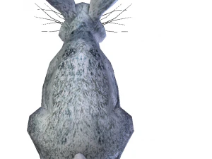 coniglio Modello 3D