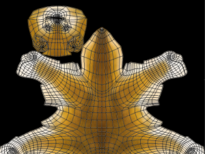 dog 3D Model