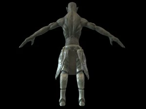 charteres 3D Model