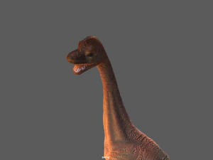 brachiosauro Modello 3D