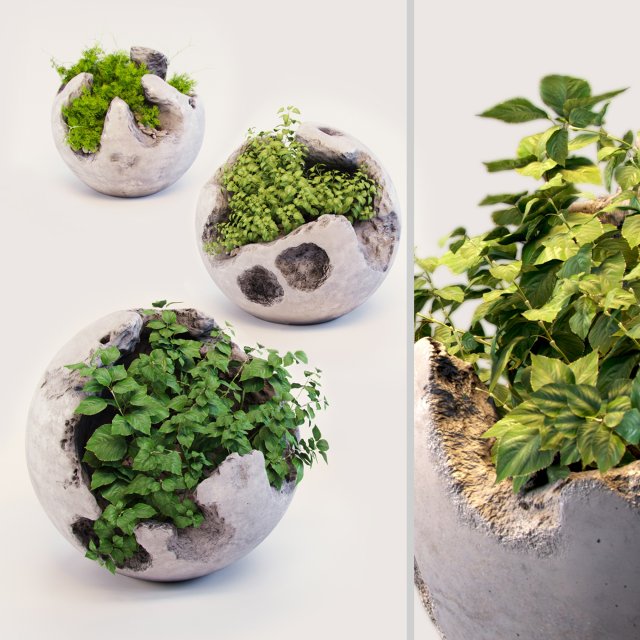 plants 3D Model .c4d .max .obj .3ds .fbx .stl .blend 
