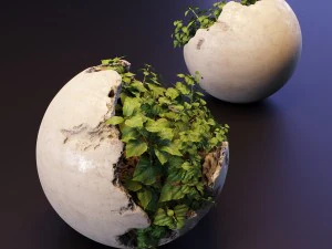 plants 3D Model