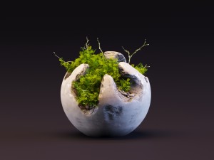 plants 3D Model