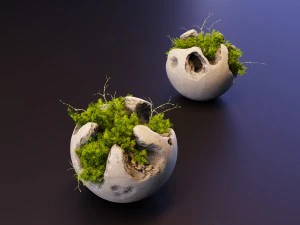 plants 3D Model