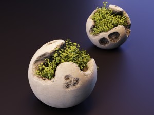 plants 3D Model