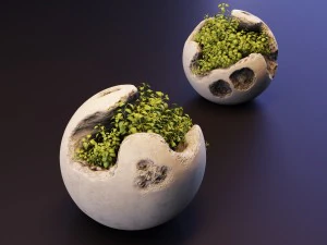plants 3D Model