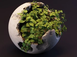 plants 3D Model