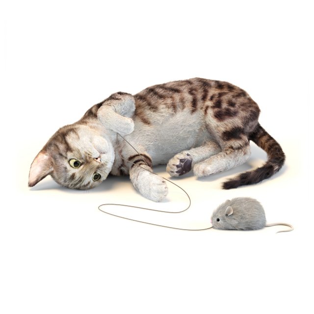 kitten in two color options 3D Model .c4d .max .obj .3ds .fbx .stl .blend 